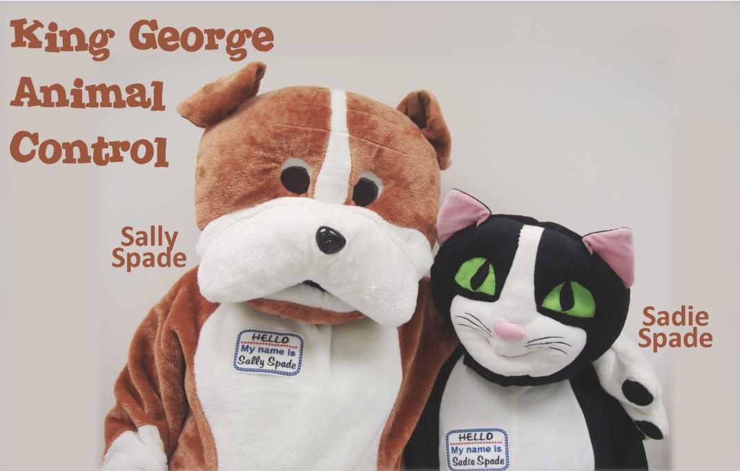 Our mascots, Sally Spade (a bulldog) and Sadie Spade (a cat) posing for a picture.