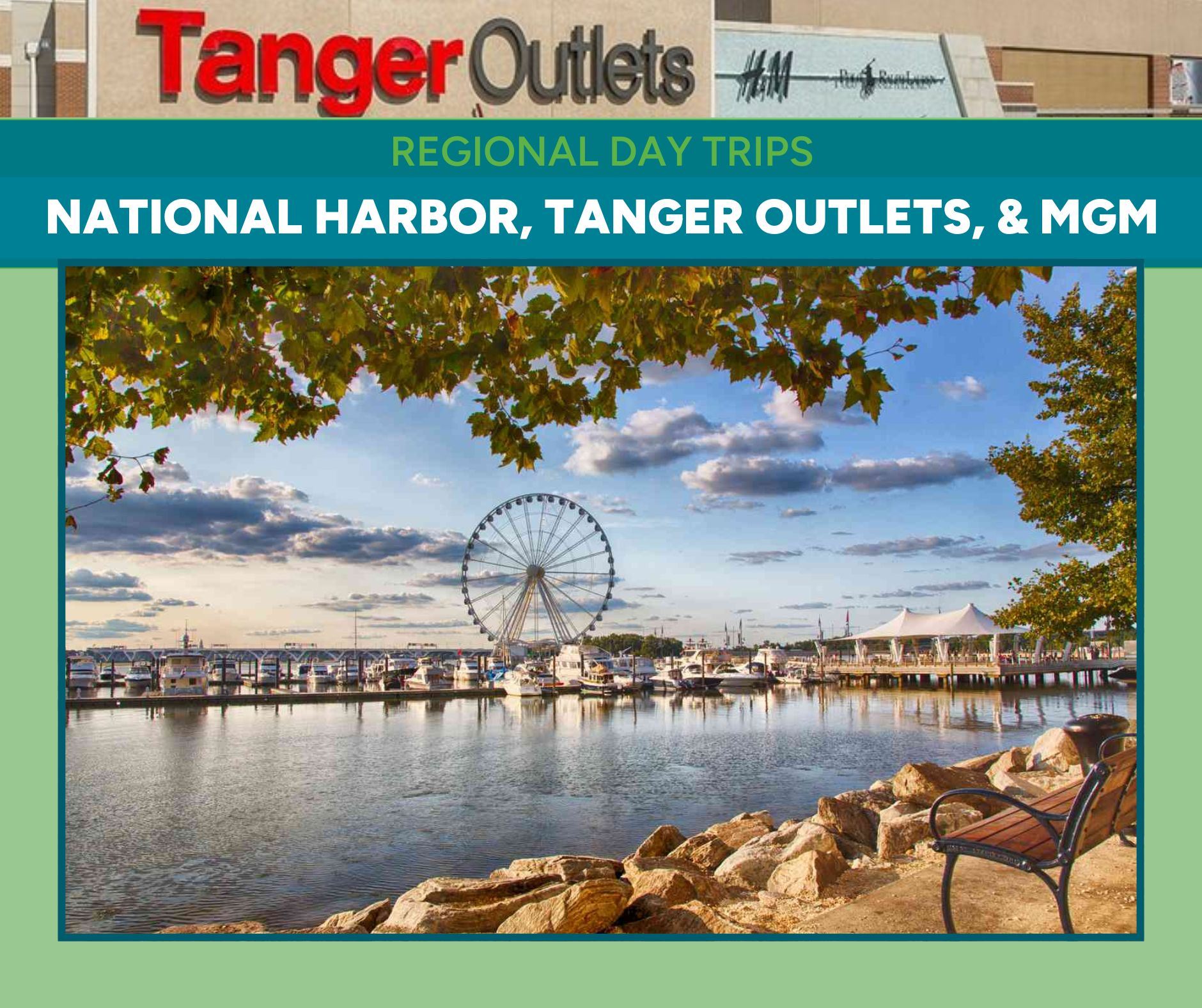 Photo of a ferris wheel on the waterfront 